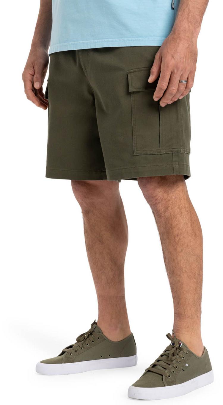 Quiksilver Quiksilver TAXER CARGO Shorts Herren - grape leaf - 2 | SportScheck
