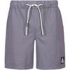 Picture NARVIK Shorts Herren - excalibur