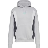 Nike NSW Air Hoodie Herren - photon dust-iron grey-white