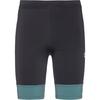 Arena Lauftights Herren - black