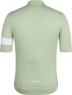 Rückansicht von Rapha Fahrradtrikot Herren reseda-white alyssum