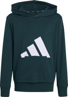 adidas BIG LOGO Hoodie Kinder aurora ivy-white