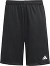 adidas TRAIN ESSENTIALS Funktionsshorts Jungen - black-white