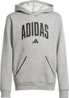 adidas Essentials Collegiate Hoodie Jungen - medium grey heather-black