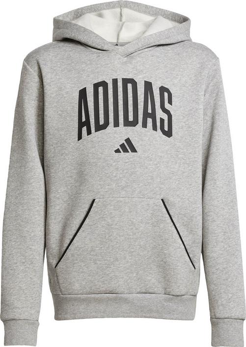 adidas Essentials Collegiate Hoodie Jungen