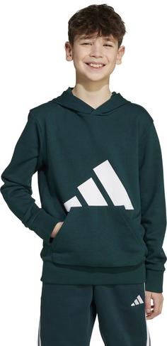 Rückansicht von adidas BIG LOGO Hoodie Kinder aurora ivy-white