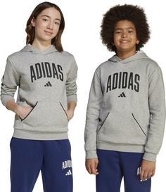 Rückansicht von adidas Essentials Collegiate Hoodie Kinder medium grey heather-black