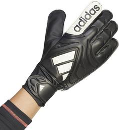 Rückansicht von adidas COPA GL CLB Handschuhe Herren black-white