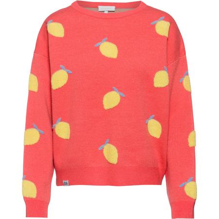 Kleinigkeit Fruity Wollma Rundhalspullover Damen Pullover XL Normal | 04069026109391 Kleinigkeit Fruity Wollma Rundhalspullover Damen Pullover XL Normal | 04069026109391