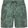 FIREFLY Ken IV Badehose Herren - green smoke