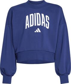 adidas Essentials Collegiate Sweatshirt Kinder dark blue-white