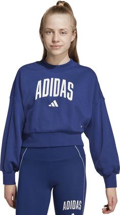 Rückansicht von adidas Essentials Collegiate Sweatshirt Kinder dark blue-white