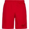Nike Academy Fu&szlig;ballshorts Herren - university red-university red-black