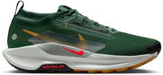 Nike GTX REACTX PEGASUS TRAIL 5 GTX Trailrunning Schuhe Herren fir-bright crimson-clay green