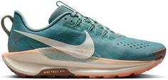 Nike REACTX PEGASUS TRAIL 5 Trailrunning Schuhe Damen cannon-soft pearl-mink brown