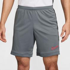 Rückansicht von Nike Academy Fußballshorts Herren cool grey-black-bright crimson