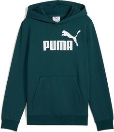 PUMA ESSENTIALS No. 1 Logo Hoodie Kinder green terrain