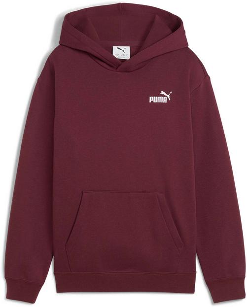 PUMA ESSENTIALS Small Logo Relax Hoodie Jungen