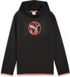 PUMA ACTIVE SPORTS Hoodie Jungen - puma black