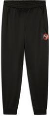 PUMA ACTIVE SPORTS Trainingshose Jungen - puma black