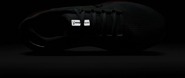 Nike Nike PEGASUS 41 Laufschuhe Herren - white-silver - 6 | SportScheck