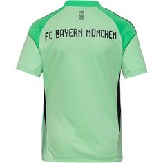 Rückansicht von adidas FC BayernMünchen 25-26 Torwarttrikot Kinder glomin