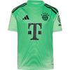 adidas FC Bayern M&uuml;nchen 25-26 Teamtrikot Kinder - glomin