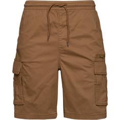 FIREFLY Fir Utility Cargoshorts Herren brown