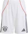 adidas FC Bayern M&uuml;nchen 25-26 Ausw&auml;rts Fu&szlig;ballshorts Kinder - white