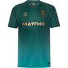hummel WERDER BREMEN 25-26 3RD Teamtrikot Herren - scarab