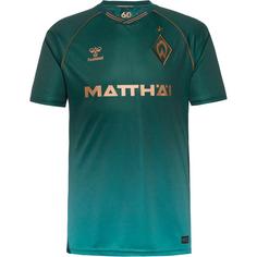 hummel WERDER BREMEN 25-26 3RD Fußballtrikot Herren scarab
