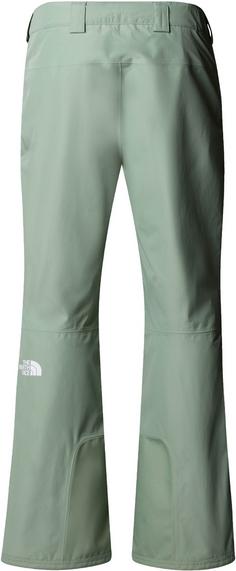 Rückansicht von The North Face DESCENDIT Skihose Herren slate moss
