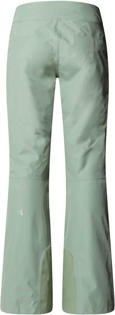 Rückansicht von The North Face DESCENDIT Skihose Damen slate moss