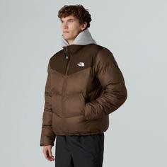 Rückansicht von The North Face SAIKURU Steppjacke Herren smokey brown-demitasse