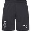 PUMA Borussia M&ouml;nchen Gladbach 25-26 Funktionsshorts Herren - puma black-warm white