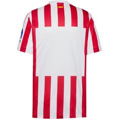 Rückansicht von Nike Atletico 25-26 Heim Fußballtrikot Herren sport red-white-hyper royal