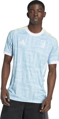Rückansicht von adidas Juventus Turin 25-26 auswärts Fußballtrikot Herren ashblu