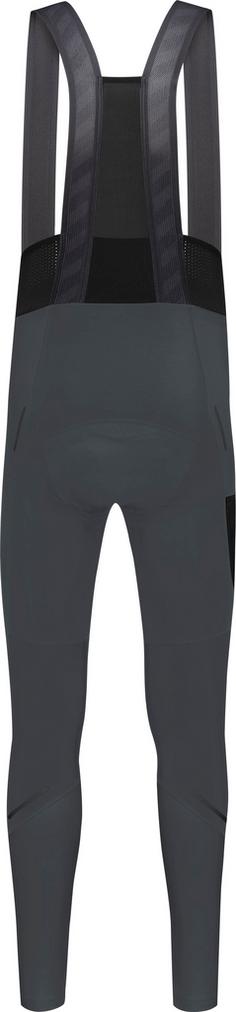 Rückansicht von GOREWEAR SPINSHIFT Bibtights Herren lab graphite