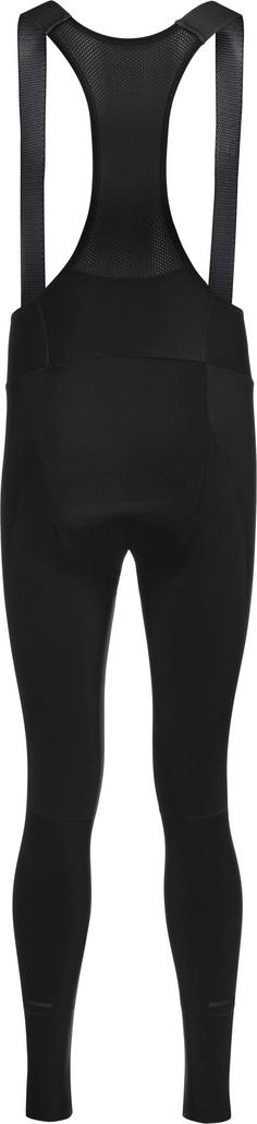 Rückansicht von GOREWEAR SWIFTRIDE Bibtights Herren black