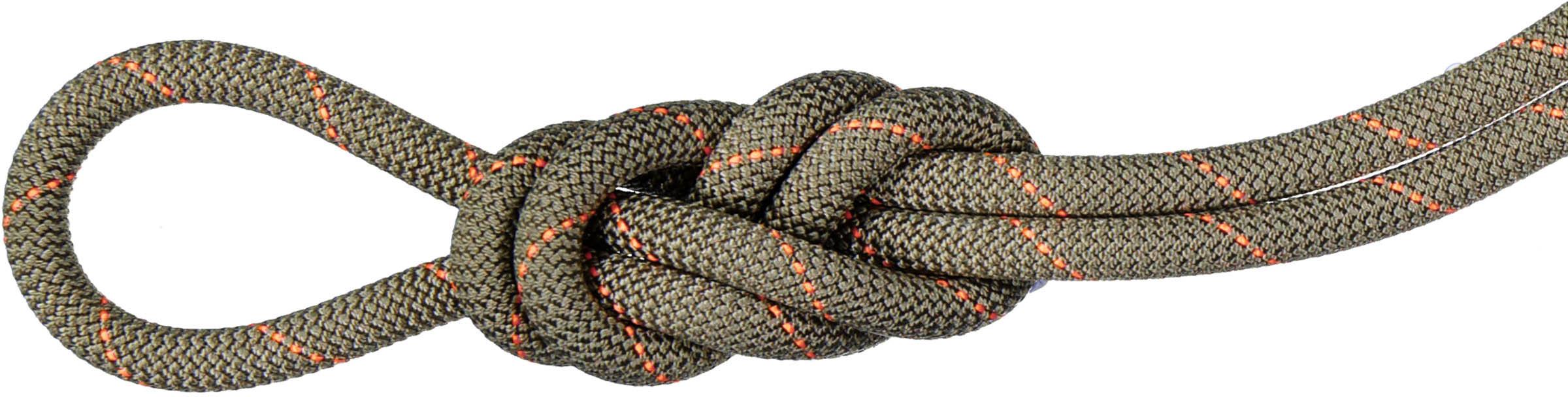 Mammut 9.9 Gym Workhorse Classic Rope Kletterseil