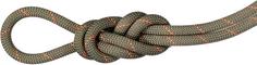 Mammut 9.9 Gym Workhorse Classic Rope Kletterseil boa