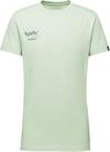 Mammut Massone T-Shirt Herren - silver sage
