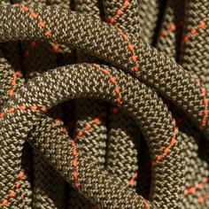 Rückansicht von Mammut 9.9 Gym Workhorse Classic Rope Kletterseil boa