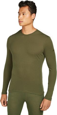 Rückansicht von Icebreaker 175 Everyday Funktionsshirt Herren loden