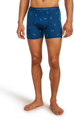 Rückansicht von Icebreaker 150 Anatomica Boxershorts Herren atlantis-topaz-aop