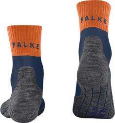 Rückansicht von Falke TK2 Explore Cool Wandersocken Herren enzian