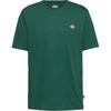 Dickies Mapleton T-Shirt Herren - PINE NEEDLE GREEN