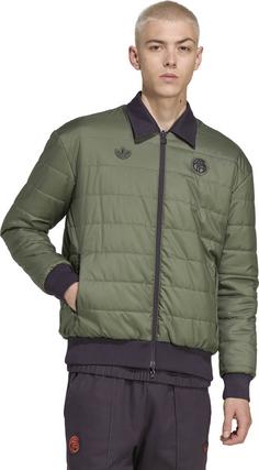 Rückansicht von adidas FC Bayern München Icon Polyjacke Herren aurbla-basgrn