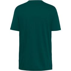 Rückansicht von PUMA Borussia Mönchen Gladbach Fanshirt Herren dark myrtle-puma gold