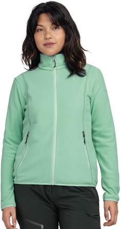 Rückansicht von Schöffel Ash Fleecejacke Damen gem jade